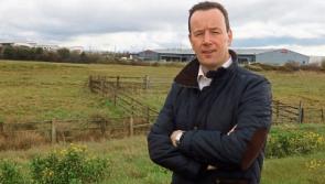 Park and ride call made for Limerick