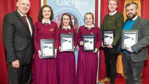 Limerick school shines in national debate on voting age