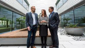 Former Limerick hurling insider on the culture of high performance 