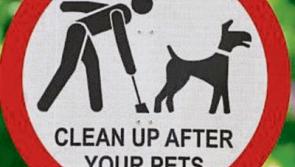 Fines over unlicenced dogs in Limerick remain unpaid