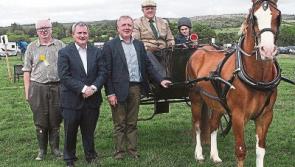 Limerick senator invites public to have their say on next food strategy