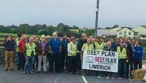 Vast majority won&rsquo;t pass Limerick Beef Plan picket