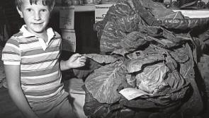 Newcastle West to host its last Flower Show after half a century 