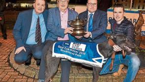 Bob Shanahan's Limerick syndicate into Irish Greyhound Derby semi final