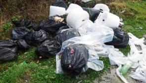 Judge aims to send message with &euro;2,500 fine for illegal dumping in Co. Limerick town park&nbsp; 