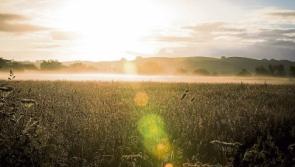Temperatures set to hit 21 degrees in the week ahead