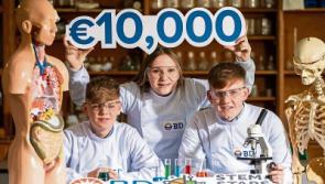 Be a STEM star in Limerick and win &euro;10k for your school
