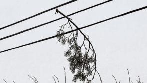 Orange alert issued as Met &Eacute;ireann warns of severe winds in Limerick