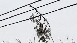 Thousands without power in Limerick&nbsp;as Storm Atiyah hits West coast