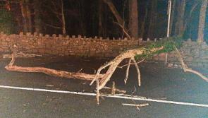 Limerick motorists warned of debris in aftermath of Storm Atiyah
