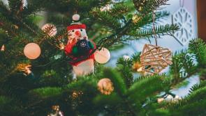 Gardai urge Limerick homeowners to leave fake presents under tree