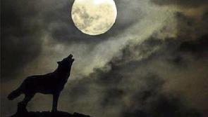 Limerick astronomy column: What to look up at and forward to this month