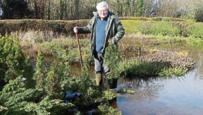 Flooding turns Limerick garden centre into an aquatic centre