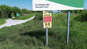 Parks and public amenities to reopen in Limerick as public health restrictions are eased