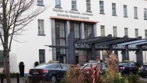 Bodies of brothers taken to University Hospital Limerick following diving incident