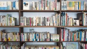 Limerck libraries reopen &ndash; under much changed circumstances