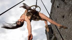 Artists think outside creative box as Culture Night goes ahead in Limerick amid Covid