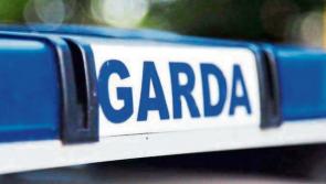 Man dies days after being involved in crash in Offaly as garda&iacute; make major appeal