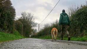 A year like no other for Limerick Animal Welfare