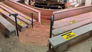 Mart report: Friesian bullocks exceed &euro;2 per kg at Kilmallock