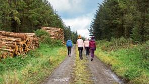 &nbsp;'Humans are a social species' - Irish mental health charity urges people to go outside