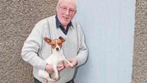 'Prison break' for lost Limerick puppy