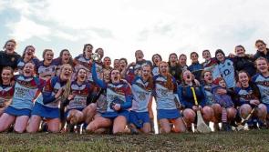 UL claim dramatic camogie success