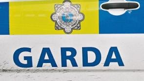 Limerick gardai investigate fatal collision