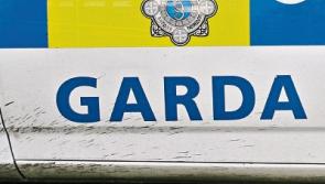 Funeral arrangements announced for Limerick road victim