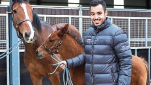 Sheikh Fahad dreams of Limerick&nbsp;Classic winners as he visits foals