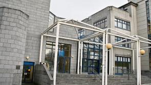 Limerick woman fined over courthouse brawl