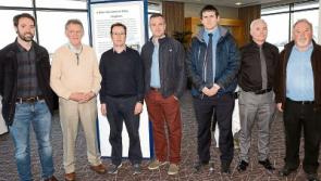 Limerick footbridge plan&nbsp;attacked as 'an act of vandalism'