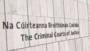 Limerick man admits killing partner