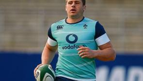 Stander back for Ireland's decisive test with 'Boks