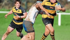 Young Limerick prop signs with Leicester Tigers