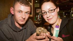 Dad, 28, and son, 3, die in horror crash in Limerick