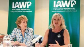 Limerick gives birth to new political party