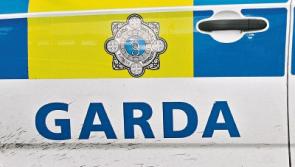 Limerick gardai seize drugs and firearms