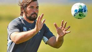 Former Munster and Ireland prop Buckley back at Shannon