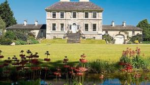 Homes in Limerick worth a combined &euro;27m are sold