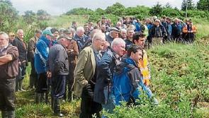 'Civilised world' will soon get taste of Quaid's County