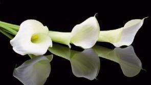 Recent deaths in Limerick