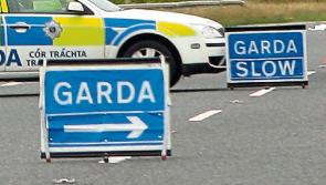 REVEALED: How much have garda road policing numbers dropped? Figures revealed as road deaths increase