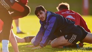 Munster's Greg O'Shea in Irish 7s squad