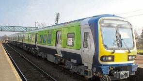Ruff commute? Busy train heading to Dublin halted on line over rogue dog