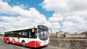 Strike action causes disruption and cancellation of Bus &Eacute;ireann services around the country