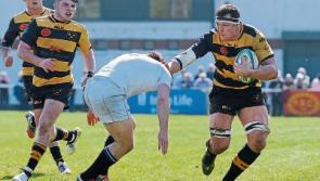 Young Munster angered by timing of All-Ireland League semi-final