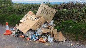 'Neanderthals' dump&nbsp;a load of rubbish in Limerick village days after TLC3