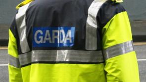 Armed gardai deployed in west Limerick crime crackdown