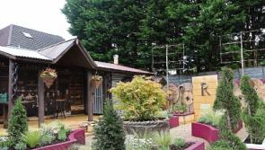 Limerick Super Garden wins silver at Bloom